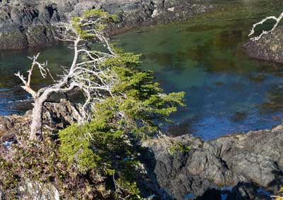 View from Insiration Point