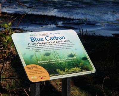 self guided interpretive signs mudflats trail