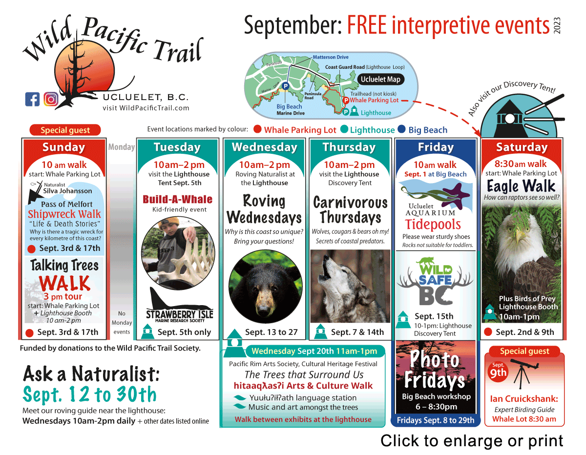 August calendar