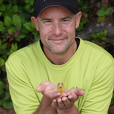 Our naturalist