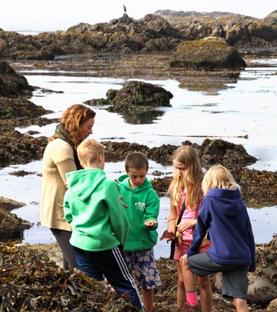 Explore tidepools with the ucluelet aquarium