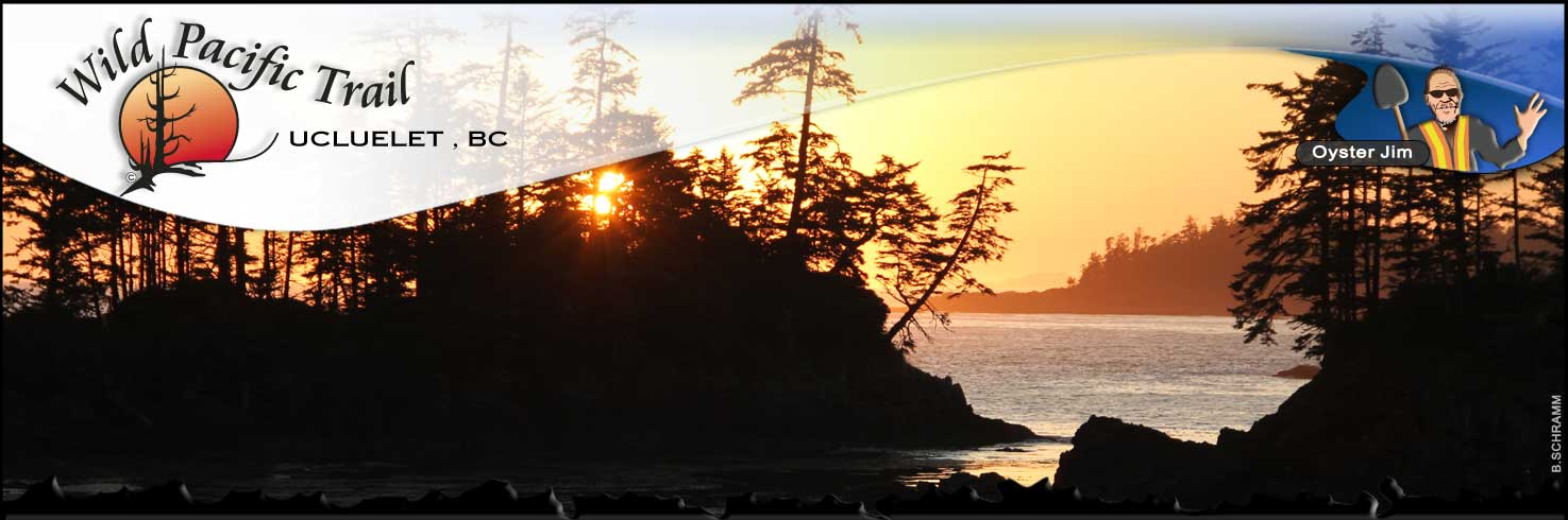 Spring Cove Mudflats wild pacific trail